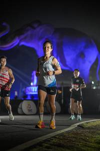 BIB: 
                            <button type="button" onclick="openModal(26531161)" class="btn btn-primary btn-sm float-right btn-popup" data-toggle="modal" data-target=".modal-high-quality">
                        <i class="fas fa-shopping-cart"></i> Add to Cart
                    </button>
                                            <button type="button" onclick="isThisMe(26531161, true)" class="btn btn-success btn-sm float-right btn-popup btn-isme hidden" data-toggle="tooltip" data-placement="bottom" title="นี่คือรูปของคุณใช่ไหม คลิกที่นี่เพื่อเอาเข้าอัลบั้ม">
                        <i class="fas fa-plus"></i> Add to album
                    </button>
                    <button type="button" onclick="isThisMe(26531161, false)" class="btn btn-warning btn-sm float-right btn-popup btn-isnotme hidden">
                        <i class="fas fa-ban"></i> Remove from album
                    </button>